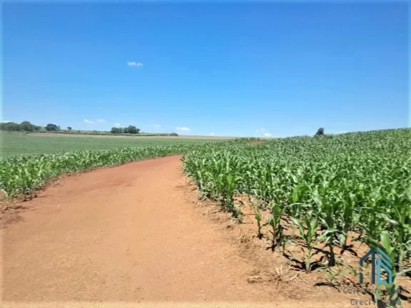 Foto do imóvel Sítio com 36 Alqueires, na Barranca do Rio Ivaí, localizado a 8 km da rodovia que liga engenheiro Beltrão a Maringá PR