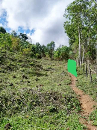Imagem Terreno à Venda, 1.000 m² em Jardim Zaira - Mauá