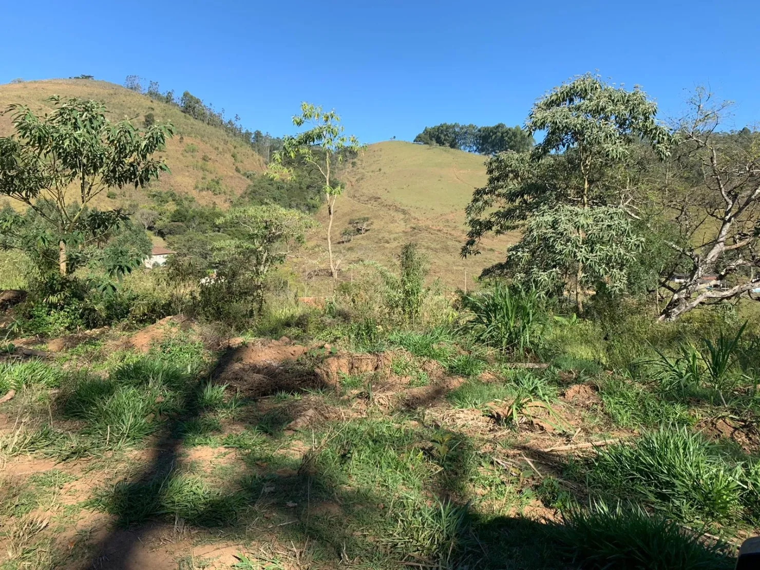 Imagem Chácara à venda Zona Rural, Pindamonhangaba - SP