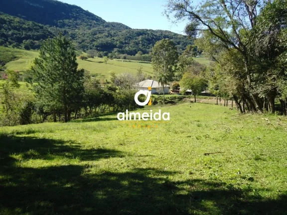Imagem Chácara 3 dormitórios à venda Zona rural Restinga Seca/RS