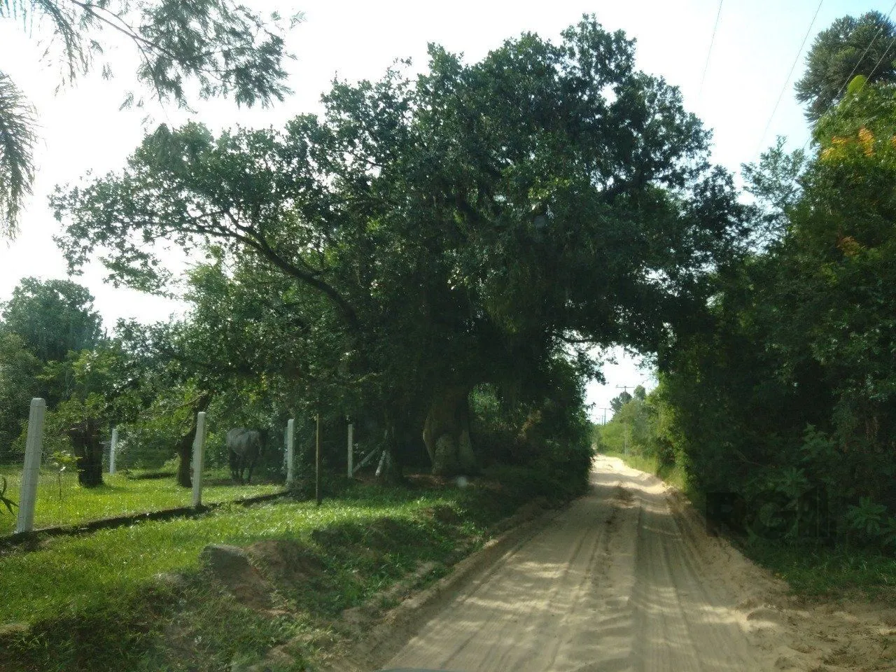 Imagem SITIO EM VIAMAO, RS, A VENDA, NAS PROXIMIDADES COM RS-040 E CONDOMINIO GOUFE II