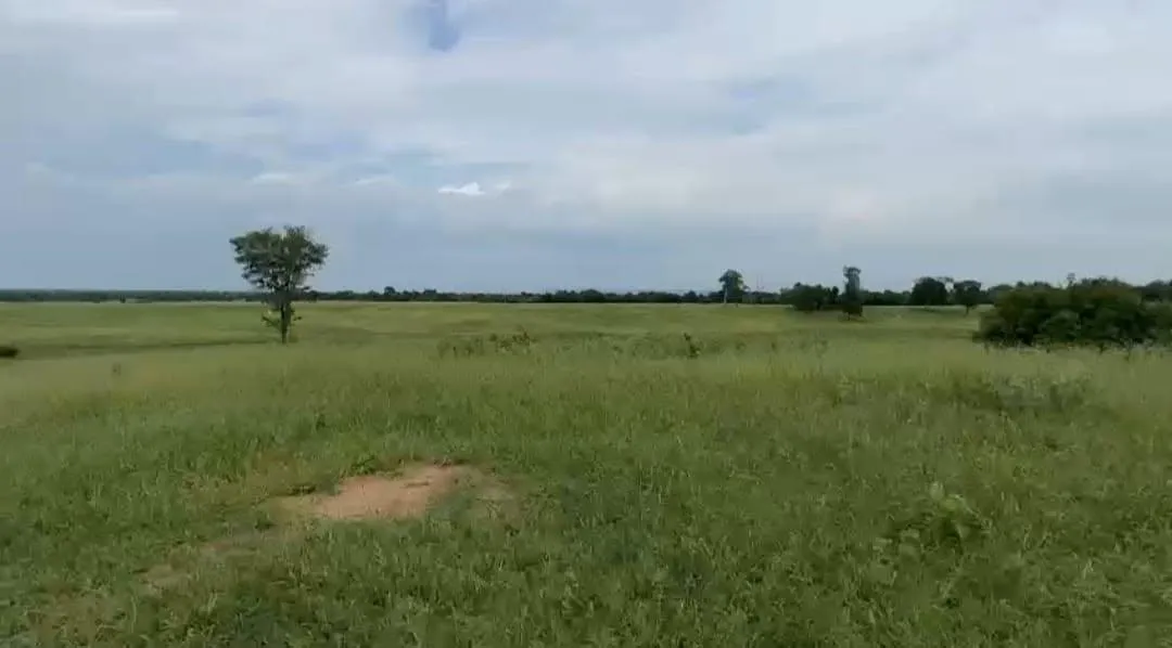 Imagem Vendo excelente fazenda em Jaíba/MG ?área total de 3.150 hectares