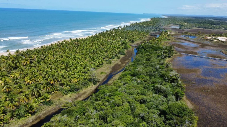 Imagem MÓDULOS RURAIS MATA ATLÂNTICA