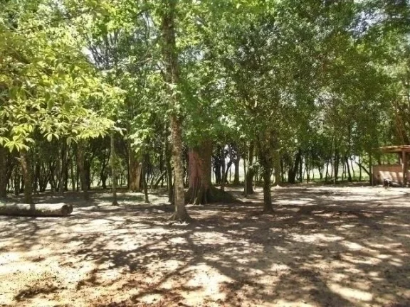 Imagem Excelente área de 11.7 Ha, linda vista, açudes, zona nobre de Águas Claras
