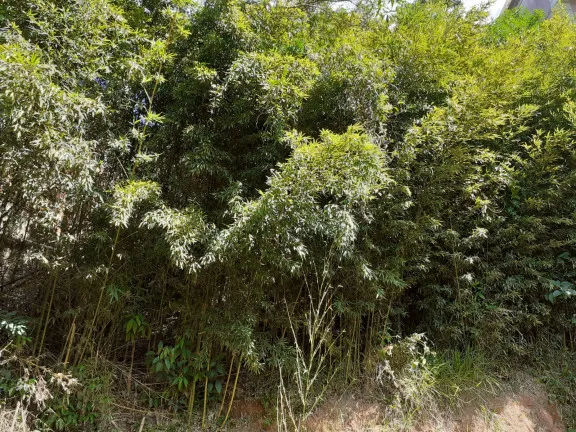 Imagem Imóvel Comercial à Venda, 100 m² em Pimenteiras - Teresópolis