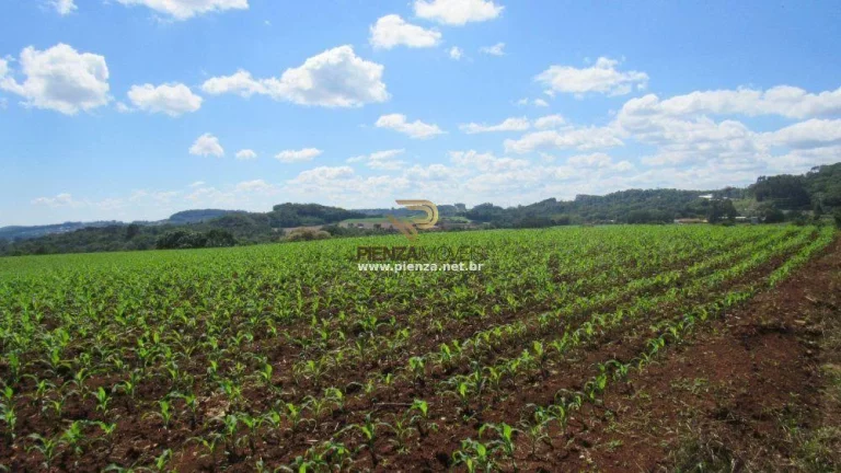 Imagem Área para Loteamento para Venda em Concórdia, São Cristóvão