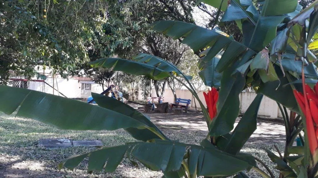Imagem Apartamento para Venda - 75.18m², 3 dormitórios, 1 vaga - Cristal