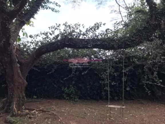 Imagem Chacara à venda com 5000 metros de terreno dentro da cidade