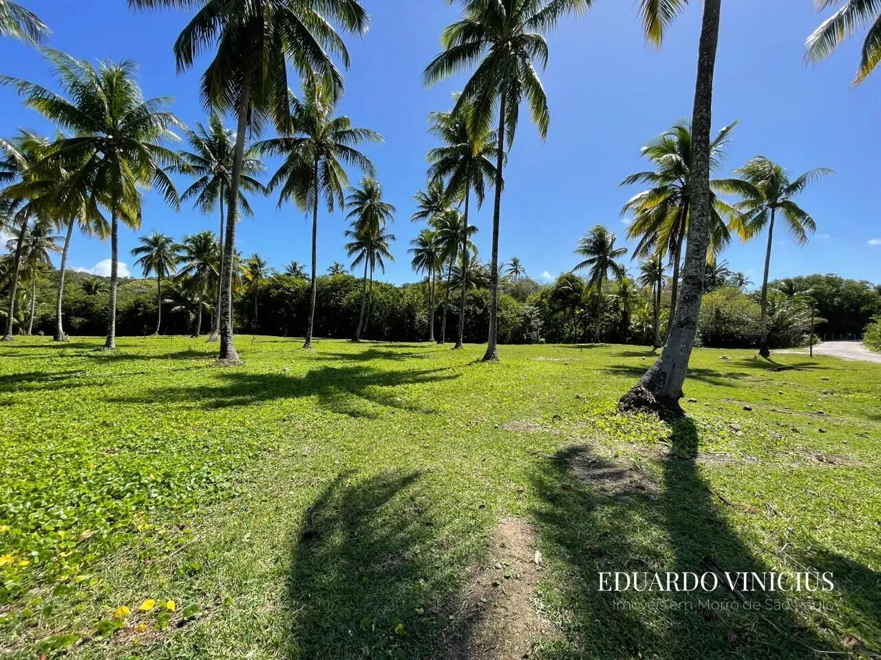 Imagem Sítio dos Coqueiros - Terreno 1.000 m² à Venda na Terceira Praia do Morro de São Paulo