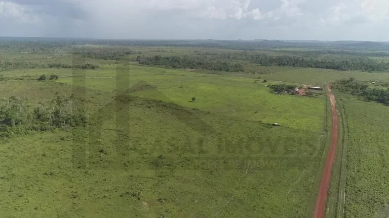 Imagem CASAL IMÓVEIS VENDE FAZENDA EM PARAGOMINAS 500 ALQUEIRES