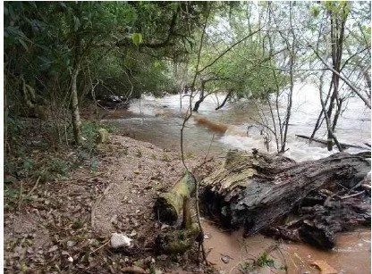 Imagem Terreno em Ponta Grossa