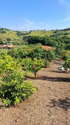 Imagem Chácara com 2 dormitórios à venda, 5938 m² por R$ 550.000 - Cambuí - Cambuí/MG