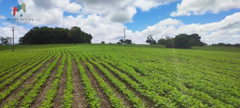 Imagem Sítio a venda em Itararé SP