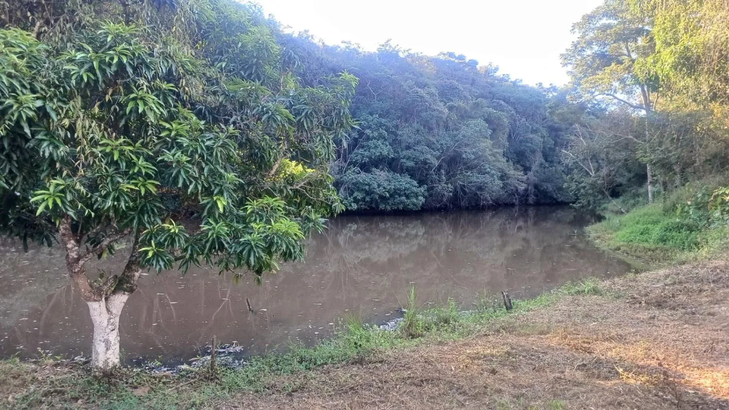 Imagem FAZENDA À VENDA - OLIVEIRA (MG) 107 hectares de terra