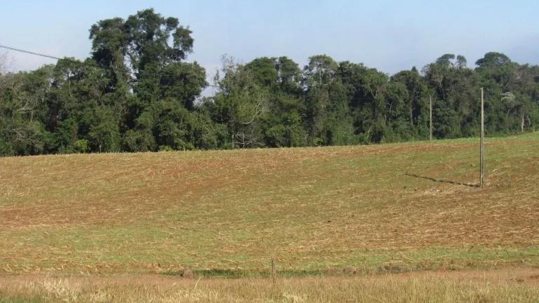 Imagem Terreno para Venda em Concórdia, Santo Antônio