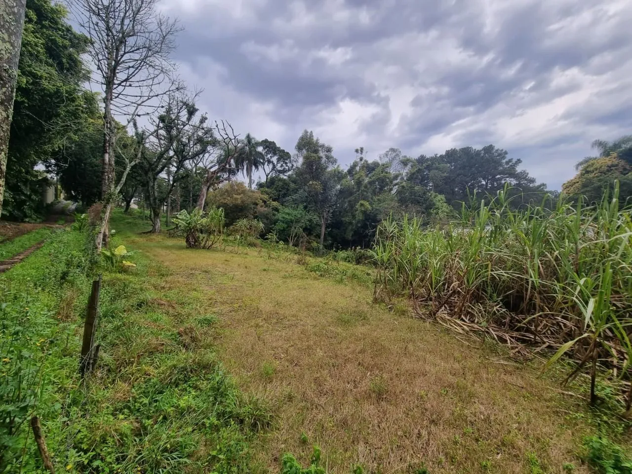 Imagem Terreno para Venda - 4.452m Bairro Jardim Isabel