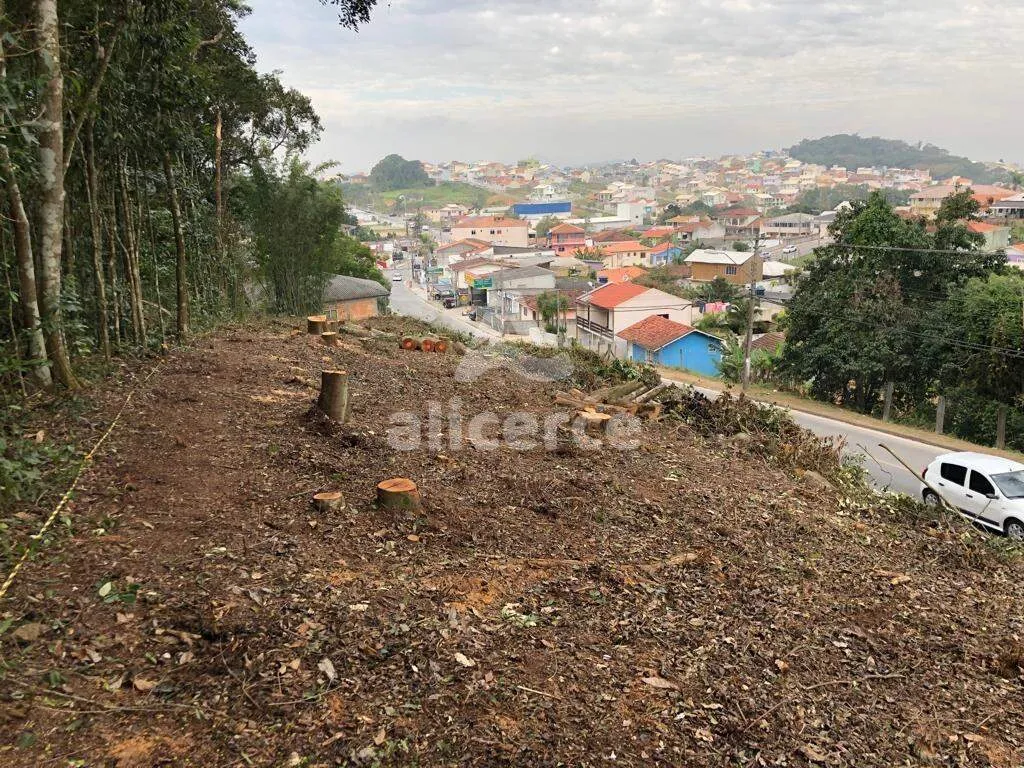 Imagem Terreno com 3.643 m², Viabilidade 70 % para Desmembramento e Construção - Forquilhas, São José/SC