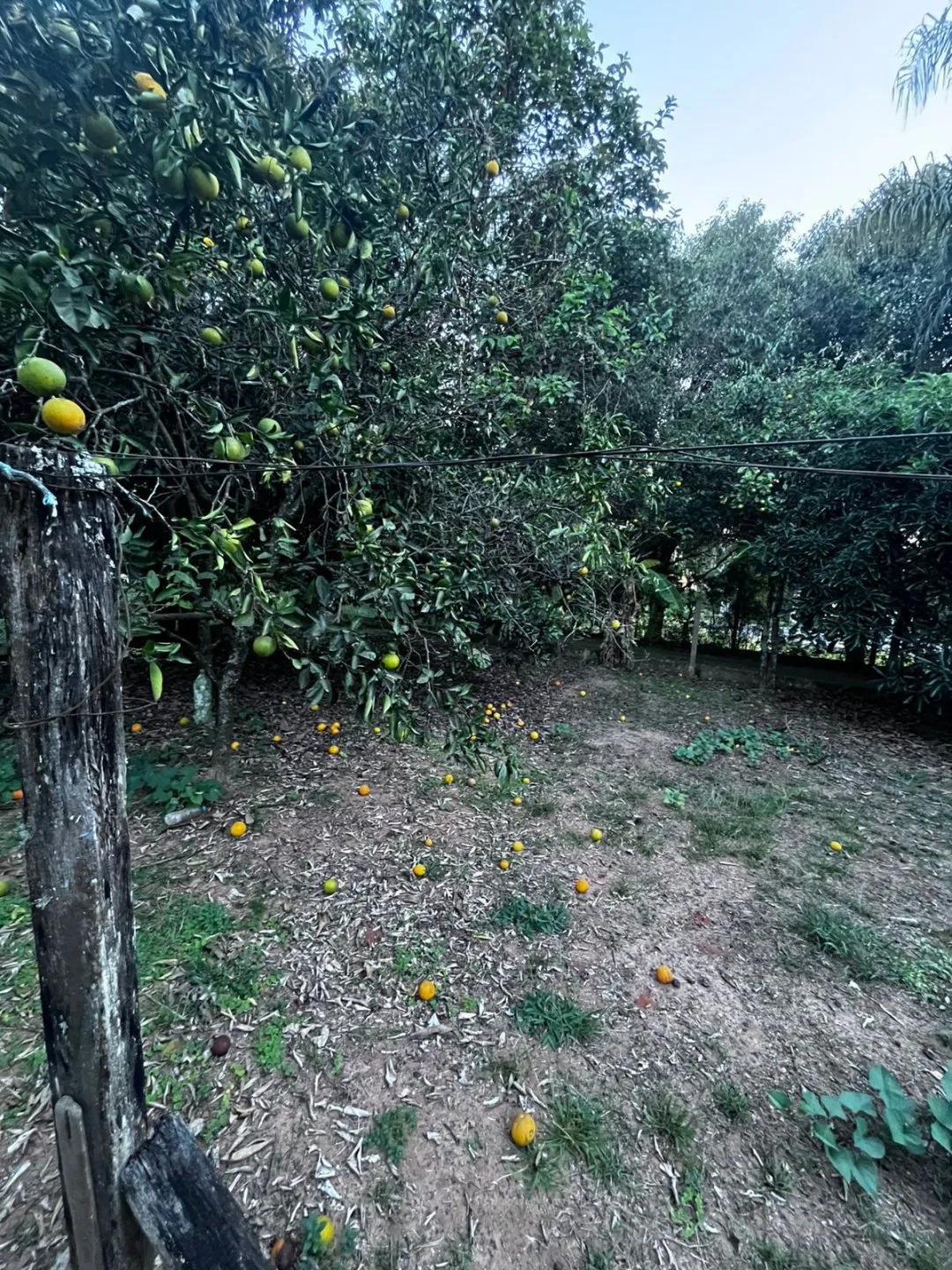 Imagem CASA À VENDA NO CONDOMÍNIO SOCIEDADE LAGOA - ÁGUAS CLARAS | VIAMÃO