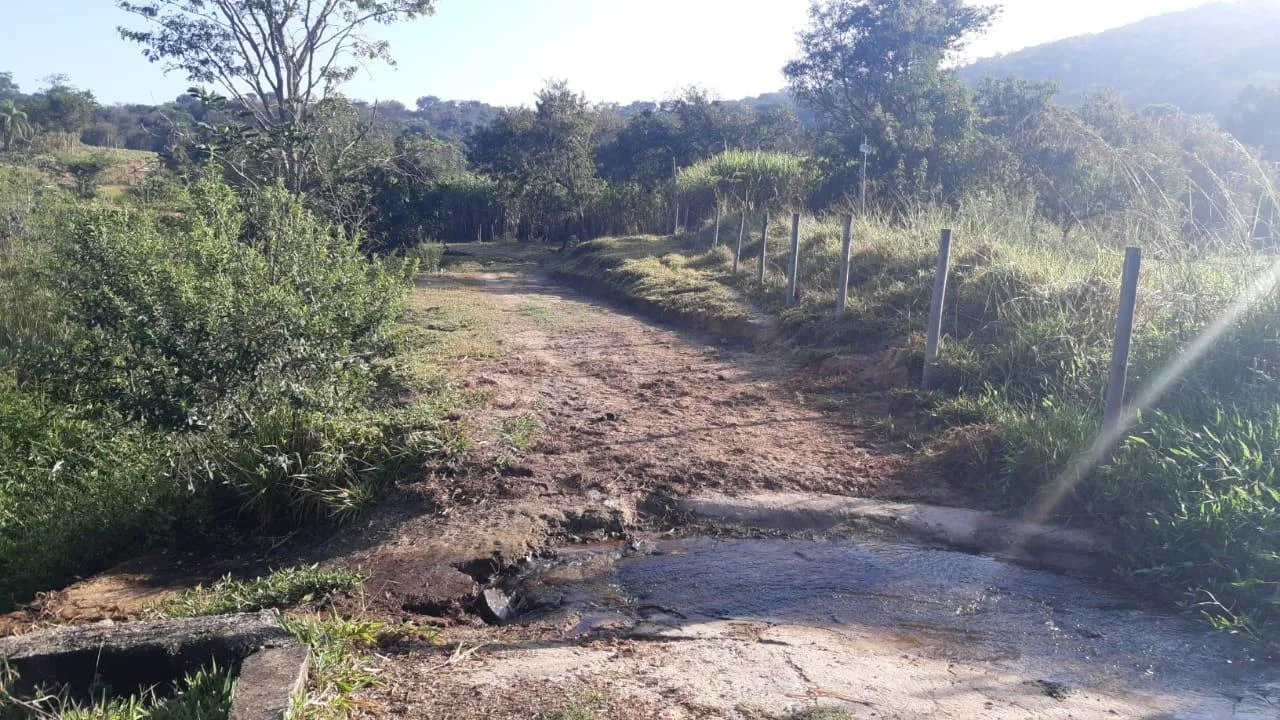 Imagem FAZENDA À VENDA - SÃO GONÇALO DO PARÁ 120 hectares de terra