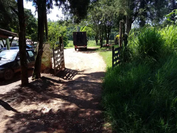 Imagem Chácara com 4 Quartos à Venda, 25.000 m²em Jardim Palmeiras - Caçapava