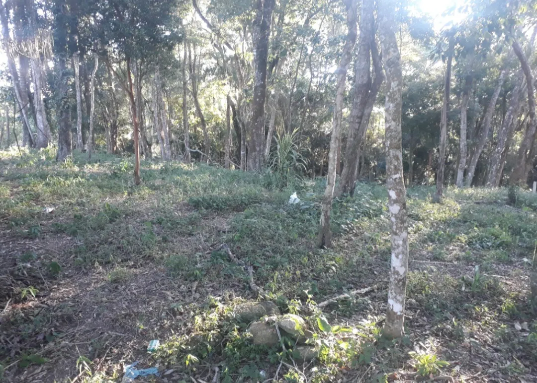 Imagem Oportuinidade Única!! Terreno em Piedade.