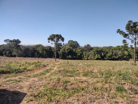 Foto do imóvel Área Industrial à Venda em Itupeva: 29.000m² Estratégicos em Rua Prefeito José Carlos