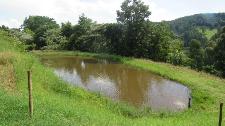 Imagem Área Agrícola para Venda em Lindóia do Sul, Centro