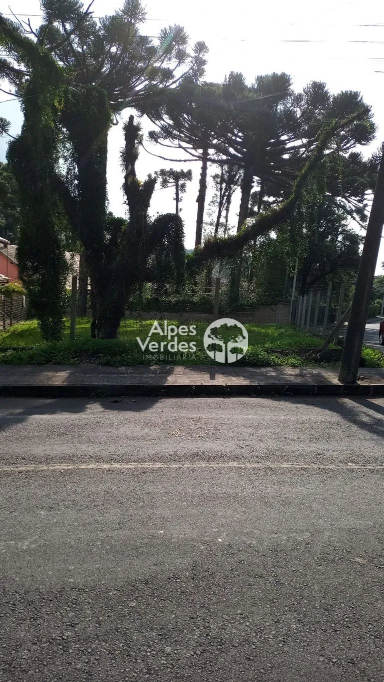 Foto do imóvel Vende-se Terreno com Projeto aprovado no Bairro Palace Hotel