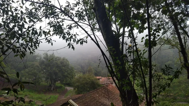 Imagem Chácara para Venda em Ribeirão Pires, Somma, 4 dormitórios, 1 banheiro, 10 vagas