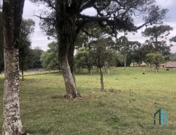 Imagem Área de 24.800m2 na Rodovia BR 116 (Regis Bitencourt) em Curitiba/PR