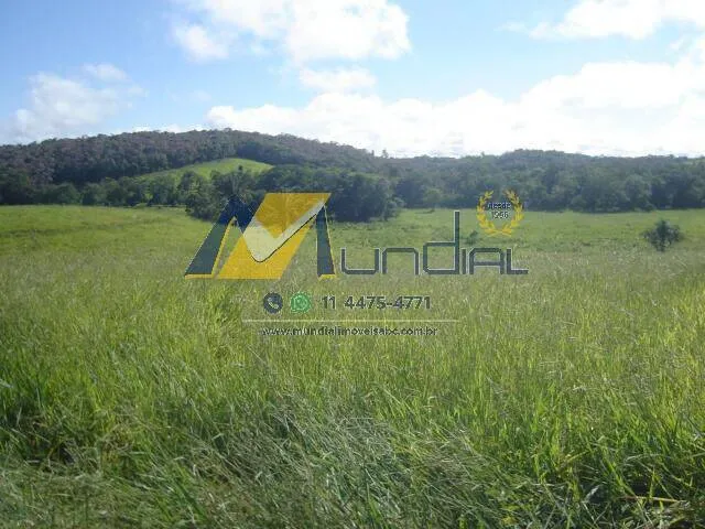 Imagem Oportunidade Estratégica: Terreno com Casa Ampla e Alto Potencial Comercial