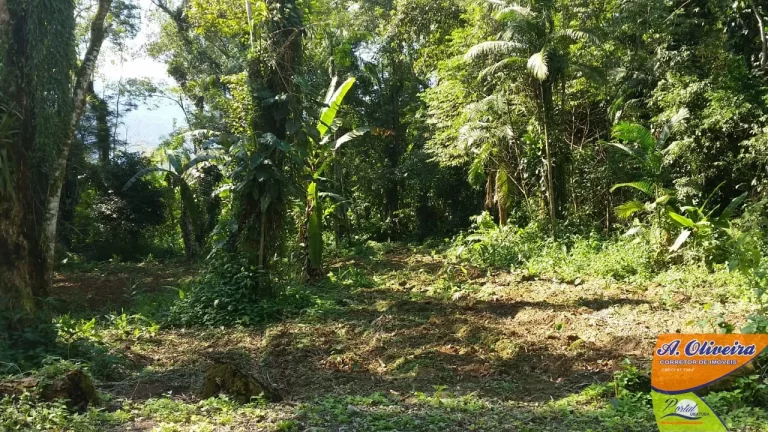 Imagem Oportunidade - Área com 56.000 metros quadrados a 200 metros da rodovia Rio / Santos