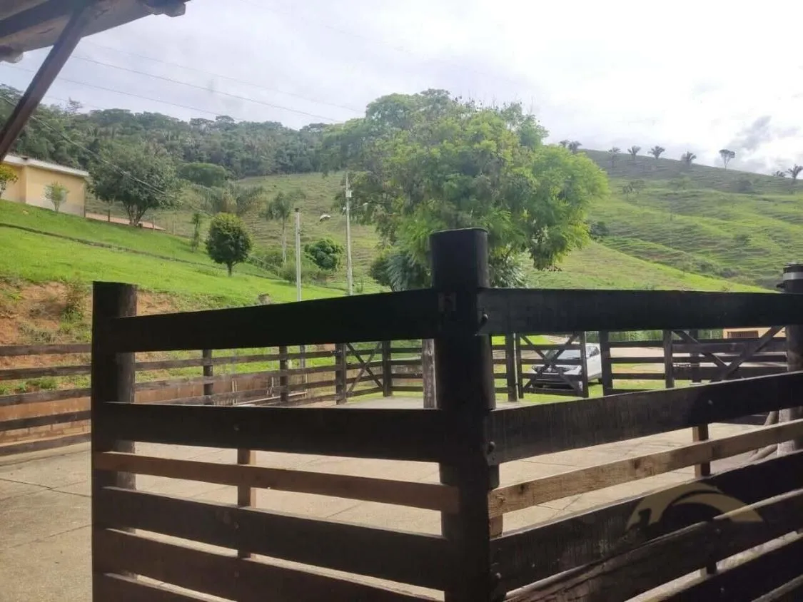 Imagem FAZENDA À VENDA Antônio Dias 48 hectares de terra