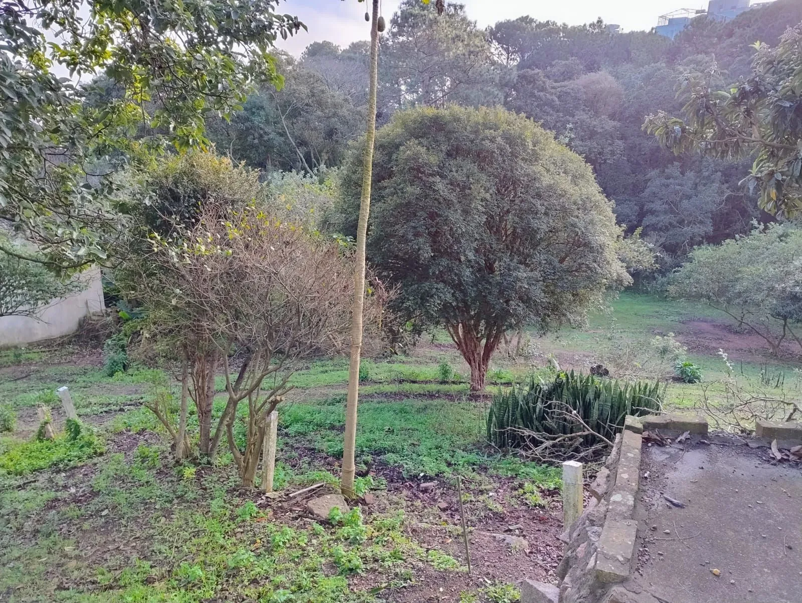 Imagem Terreno 6798m²