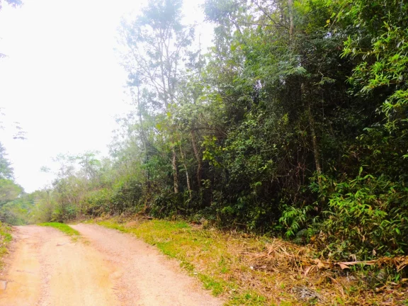 Imagem Terreno à venda em Garopaba-SC, bairro Macacu, 46.578,61m², com vista para Lagoa e Mar!