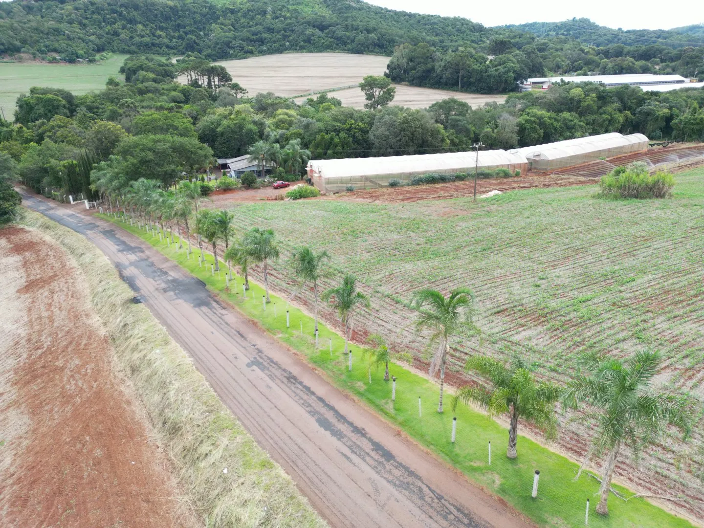 Imagem Chácara em Cascavel - Rio do Salto - Venda - Casa Sede, Lago para Pesca e Pomar - Aproveite!