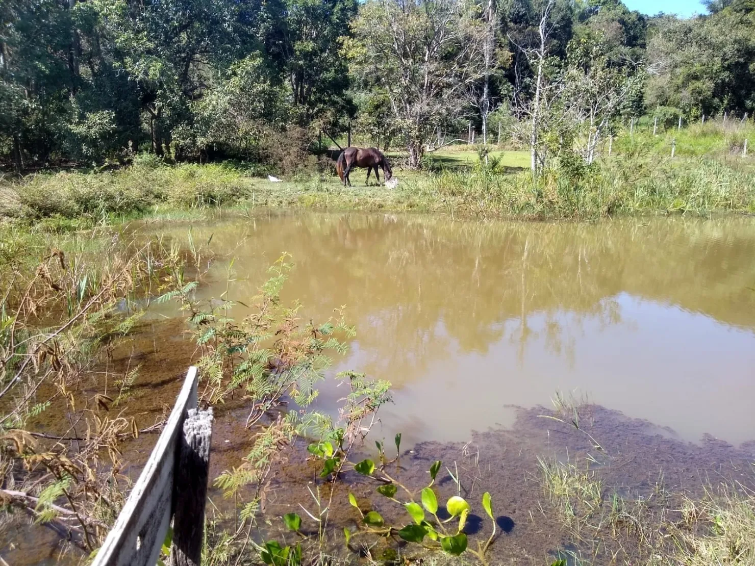 Imagem Chácara à venda, Bosque dos Ipês, Guaratinguetá, SP