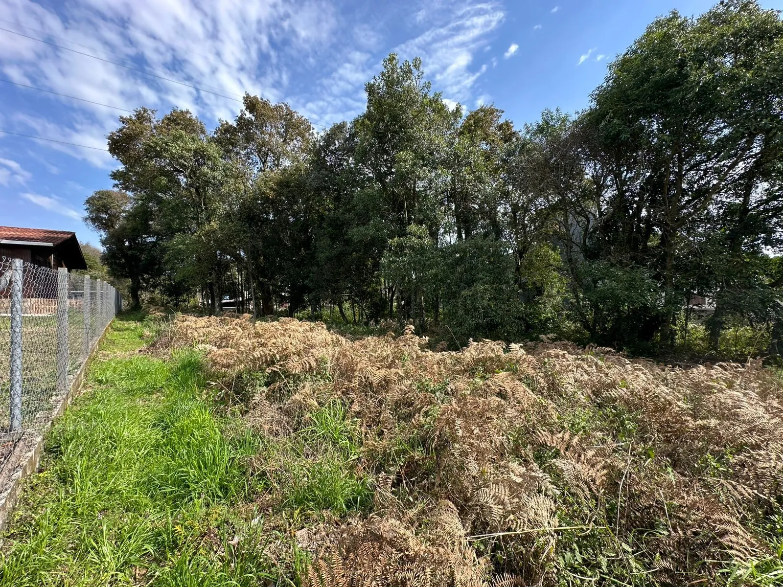 Imagem Terreno à venda em Caxias do Sul, São Luiz, 660m2