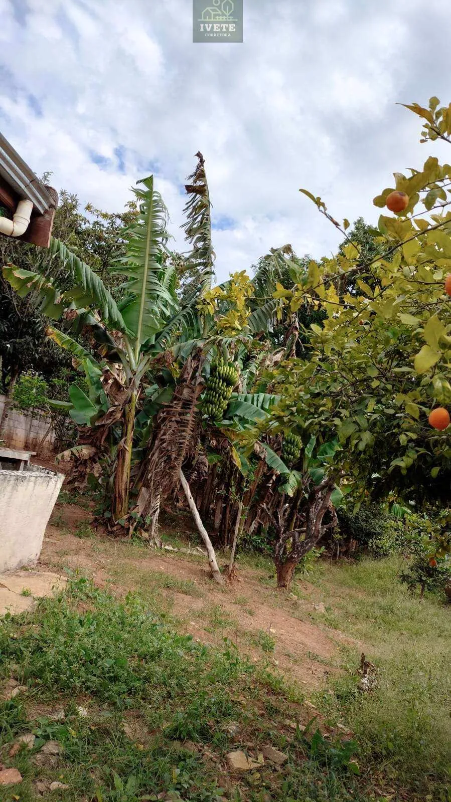 Imagem Chácara a venda no Bairro Jaboticabal em Socorro-SP.