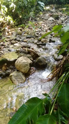 Imagem Terreno 30.000m² à Venda na Praia de Maresias - São Sebastião SP.