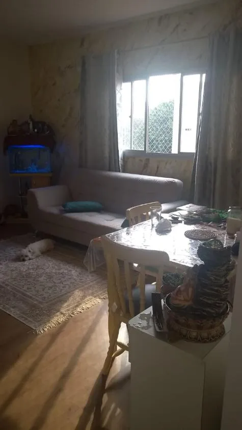 Imagem Excelente Apartamento