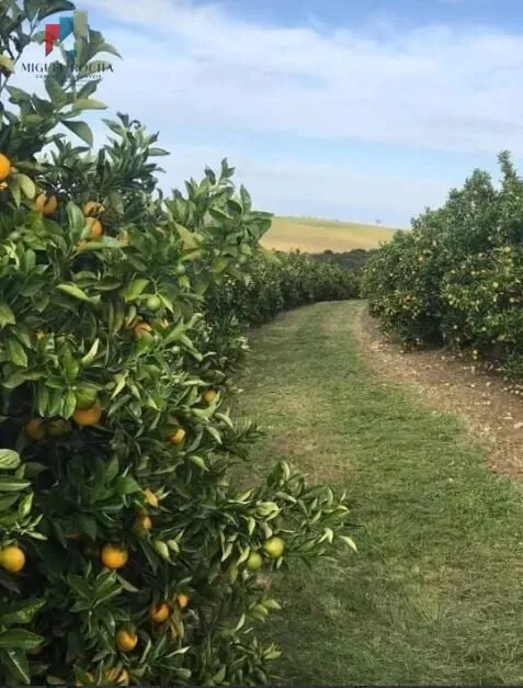 Imagem Fazenda Região de Marilia SP