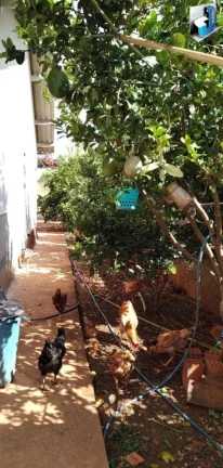 Imagem Casa a venda em Quadra/SP