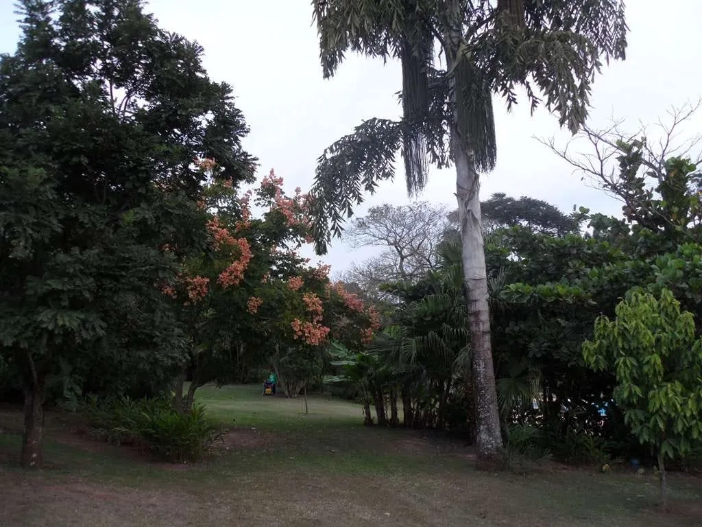 Imagem Chácara à venda 233472.24M², Zona Rural, Santa Cruz da Conceição - SP