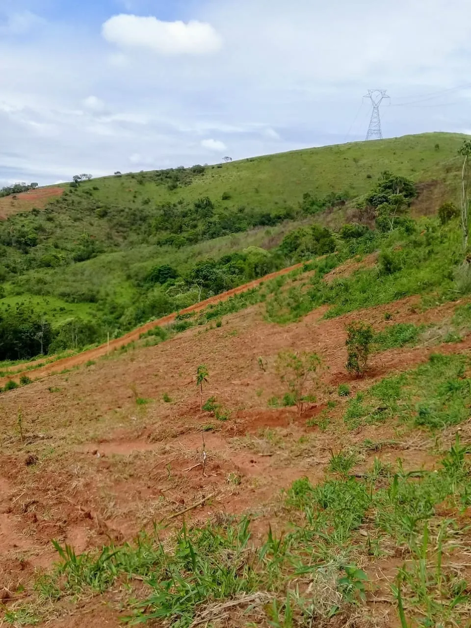 Imagem Chácara à venda 20000M², Mandú, Pindamonhangaba - SP