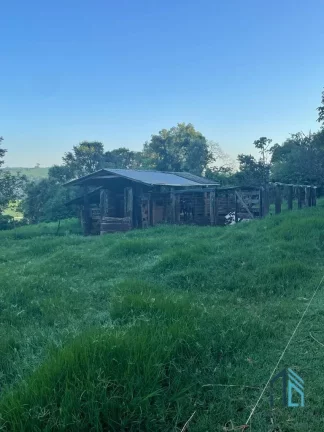 Imagem Sítio lindo a venda em ótima localização linha União da Serra em Guaraniaçu - PR