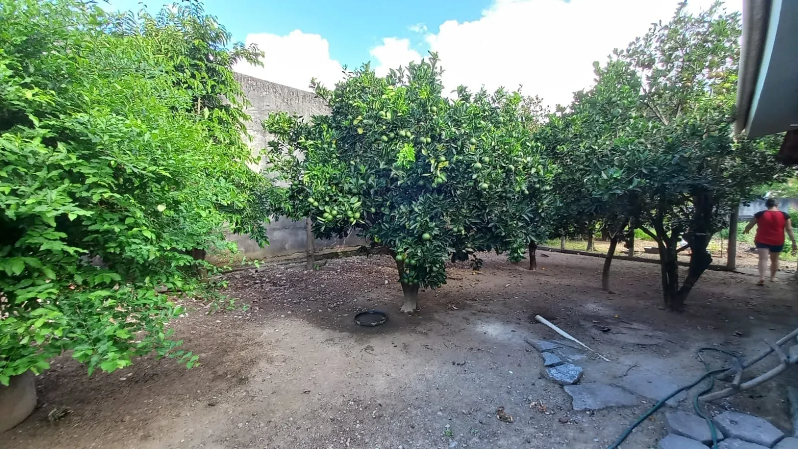 Imagem Chácara à venda l 4 quartos, 1 suíte l 220,7 m² l Aririú da Formiga - Palhoça/SC