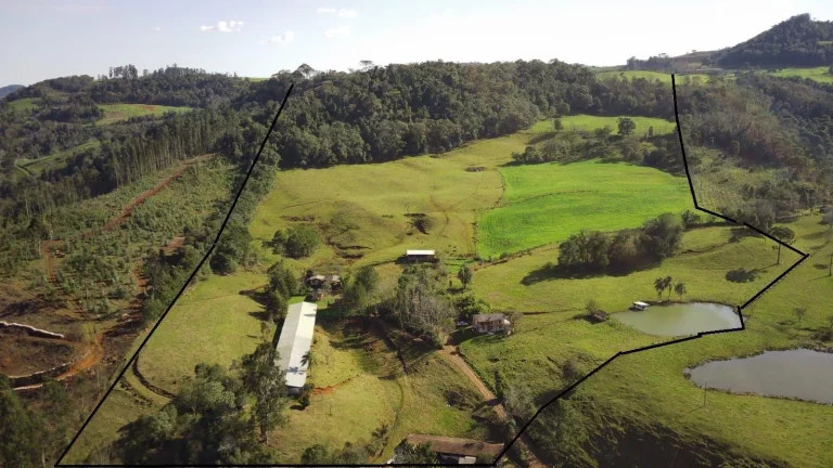 Foto do imóvel Área Agrícola para Venda em Concórdia, Rural em Principal