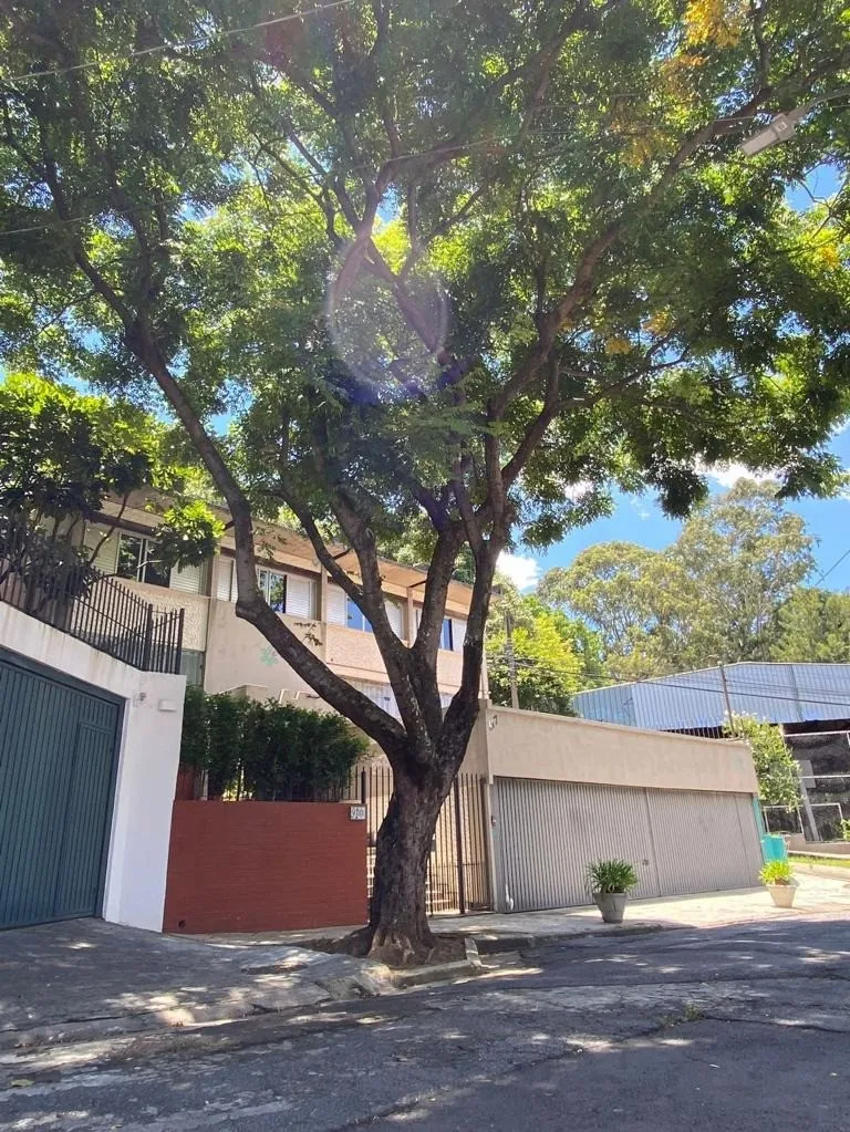 Imagem Casa com 5 quartos a venda em Vila Madalena São Paulo SP, House for sale in São Paulo Brazil, property in São Paulo Brazil, casa de luxo em São Paulo