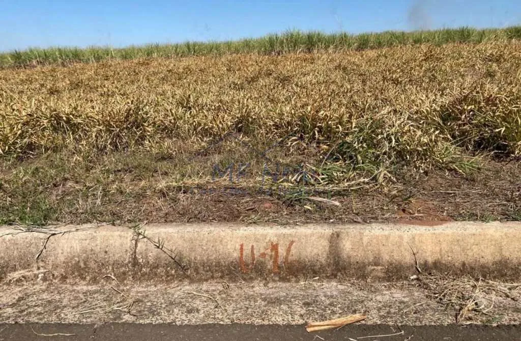 Imagem Terreno Padrão